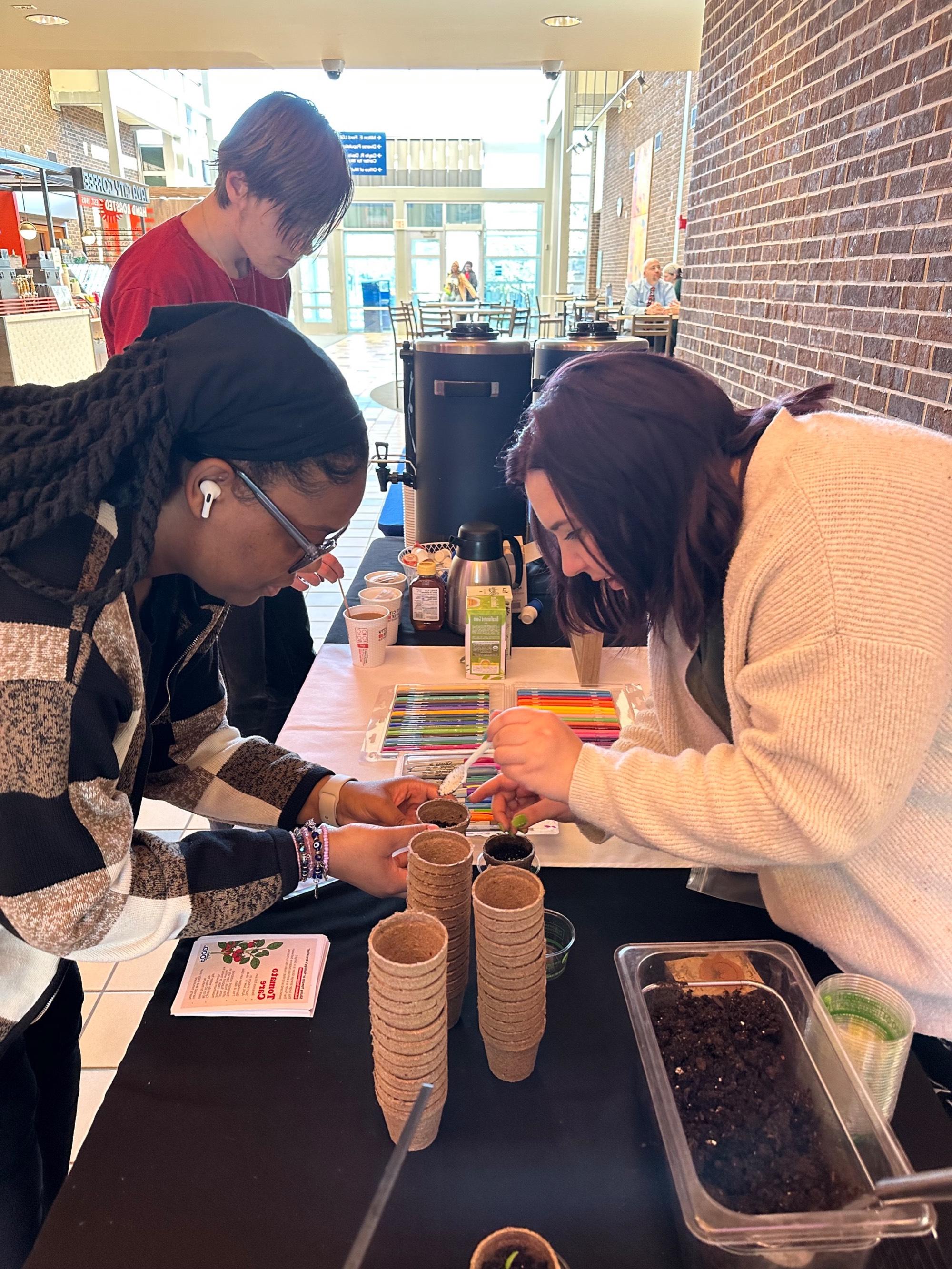 Students plant tomato seeds for earth day